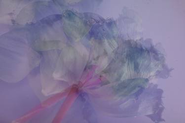 Original Abstract Floral Photography by Svitlana Moiseienko