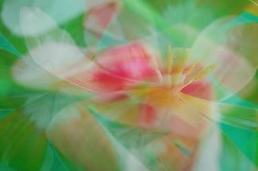 Print of Abstract Floral Photography by Svitlana Moiseienko