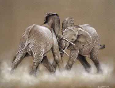 Elephants Battle thumb