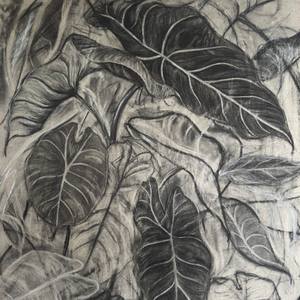 The Shape of Living Things
