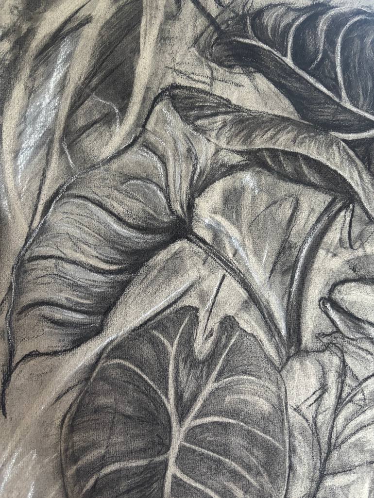 Original Contemporary Nature Drawing by Felicity Talman