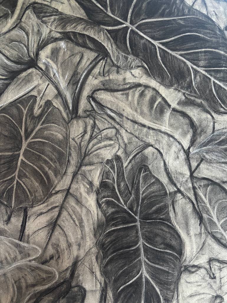 Original Contemporary Nature Drawing by Felicity Talman