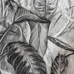 Living Line II