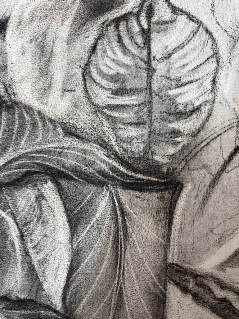 Original Abstract Nature Drawing by Felicity Talman
