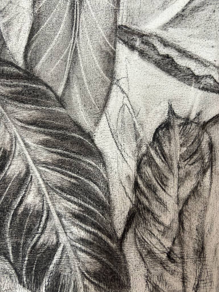 Original Abstract Nature Drawing by Felicity Talman