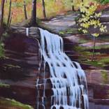 Collection Landscapes
