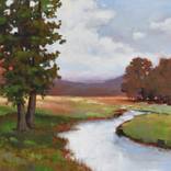 Collection Landscapes