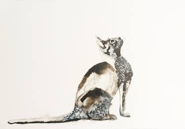 Original Figurative Animal Paintings by Susana Carvalho