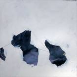Untitled #510 by Tif Wolf