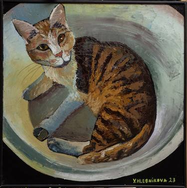 Cat in bowl thumb