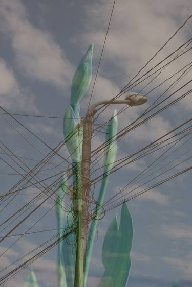 Wooden Pylon thumb