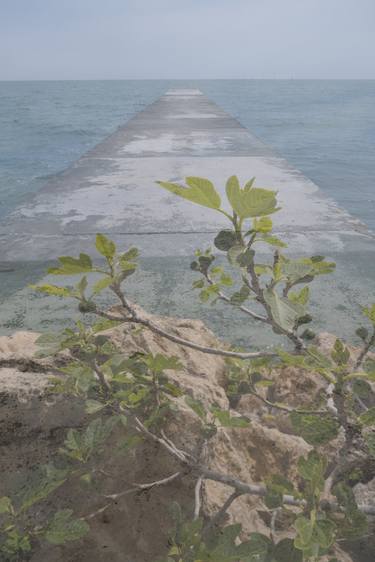 Original Beach Photography by William Josephs Radford