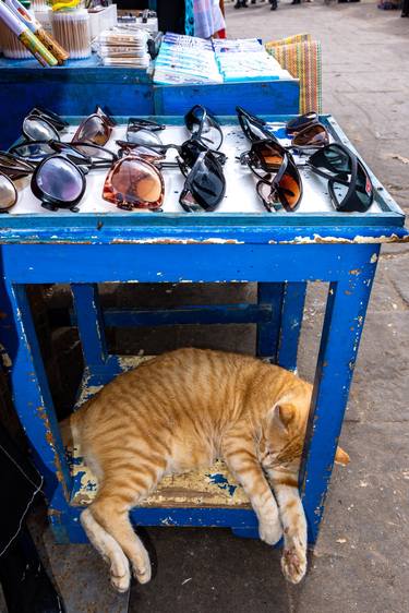 Print of Conceptual Cats Photography by William Josephs Radford