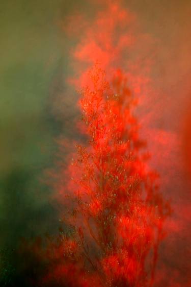 Original Abstract Photography by William Josephs Radford