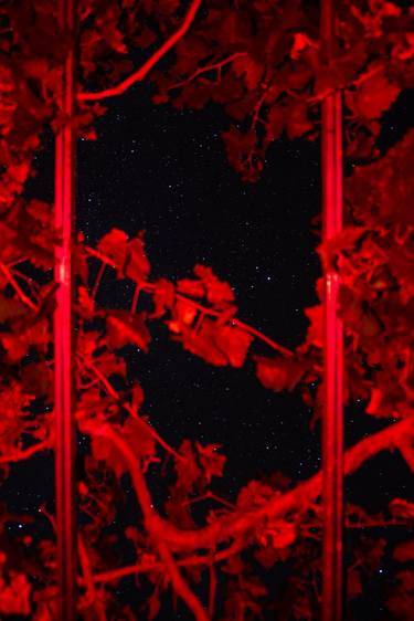 Original Abstract Outer Space Photography by William Joe Josephs Radford