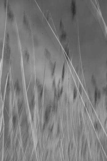Original Abstract Light Photography by William Joe Josephs Radford