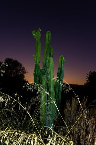 Original Landscape Photography by William Josephs Radford