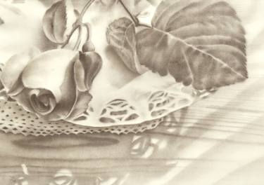 Print of Fine Art Floral Drawings by Toula Pafitis