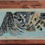 Beware Owl by Kubra Turhan