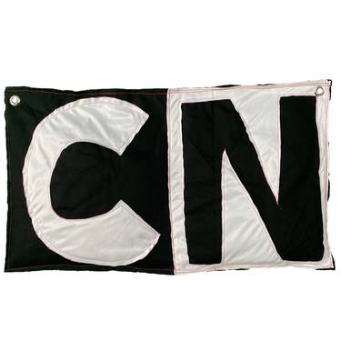 Cartoon Network Logo thumb