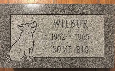 Wilbur R.I.P. (Charlotte's Web) thumb