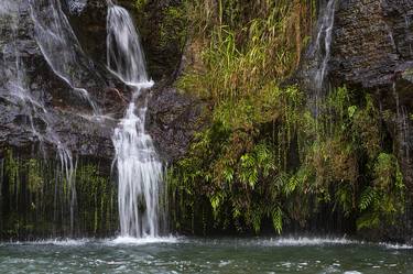 Original Art Deco Nature Photography by Rubinho Cohen