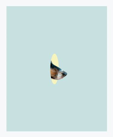 Print of Minimalism Dogs Collage by Olga Fedorova
