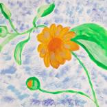 Collection Acrylic painting on paper