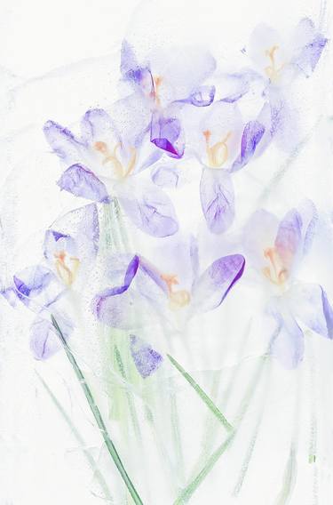 Print of Floral Photography by Svitlana Zarytska