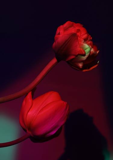 Original Fine Art Floral Photography by Svitlana Zarytska