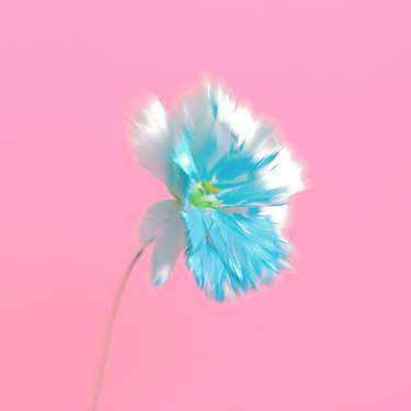 Print of Fine Art Floral Photography by Svitlana Zarytska