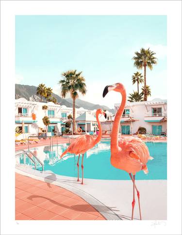 Original Contemporary Animal Photography by Paul Fuentes