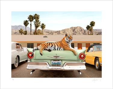 Original Contemporary Animal Photography by Paul Fuentes