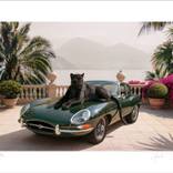 The Jaguar by Paul Fuentes