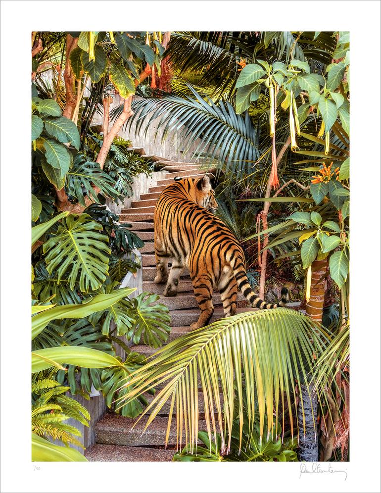 Jungle House Tiger | Limited Edition (M) Original Photography by Paul Fuentes