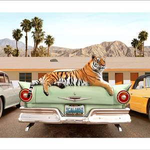 Tiger Motel - Large Size - Limited Edition