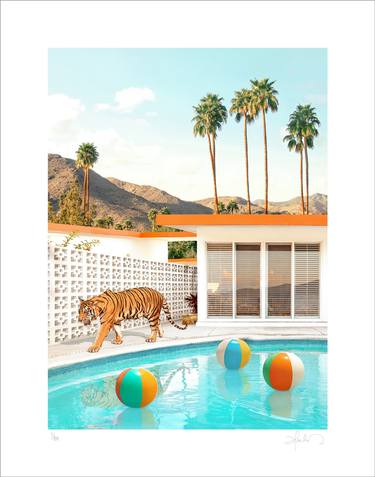 Pool Desert Tiger thumb