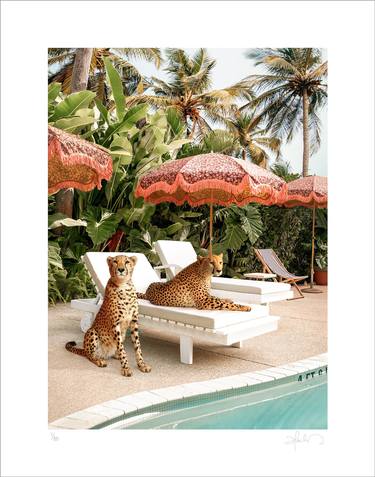 Cheetahs At The Pool - Small Size - Limited Edition of 80 thumb