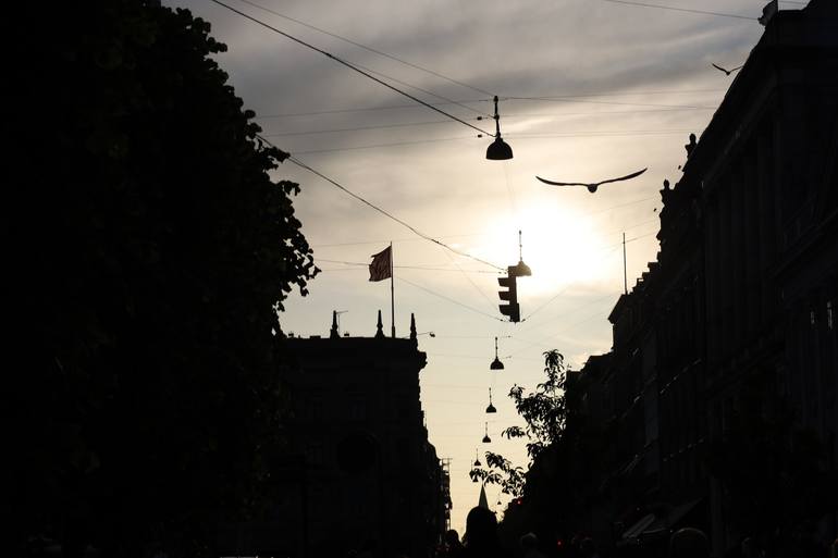 View in a Room Artwork