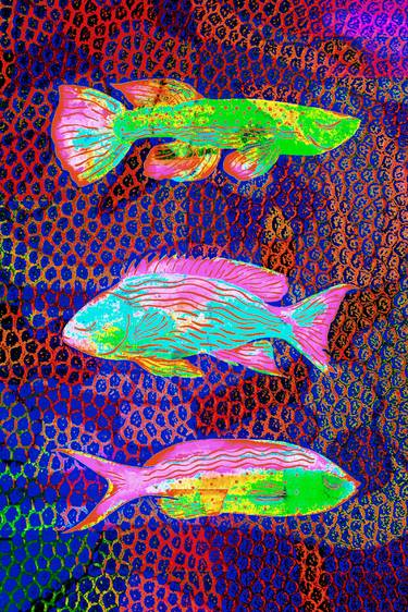 Print of Fish Mixed Media by Kathryn Smith