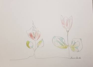 Original Minimalism Floral Drawings by Ivana Lanka