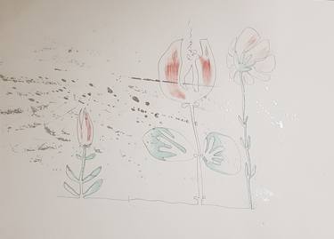 Original Botanic Drawings by Ivana Lanka