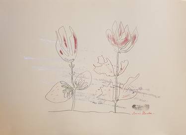 Original Floral Drawing by Ivana Lanka