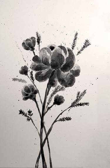 PEONIES - 20x30cm // flower, ink, black, garden, grey thumb