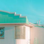 Collection For the Budget Conscious