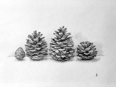 Print of Realism Botanic Drawings by Michael Khripin