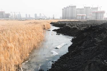 Print of Documentary Nature Photography by Lee jaehyun