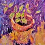 Survive this winter by Mireille Potvin