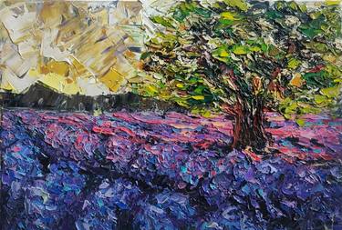 English Lavender Field Landscape thumb