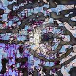 Collection Digital Painting